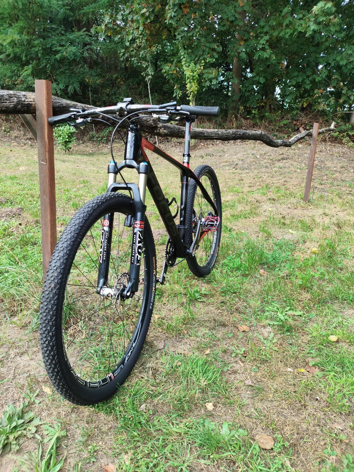 Focus Raven 29R Carbon XL