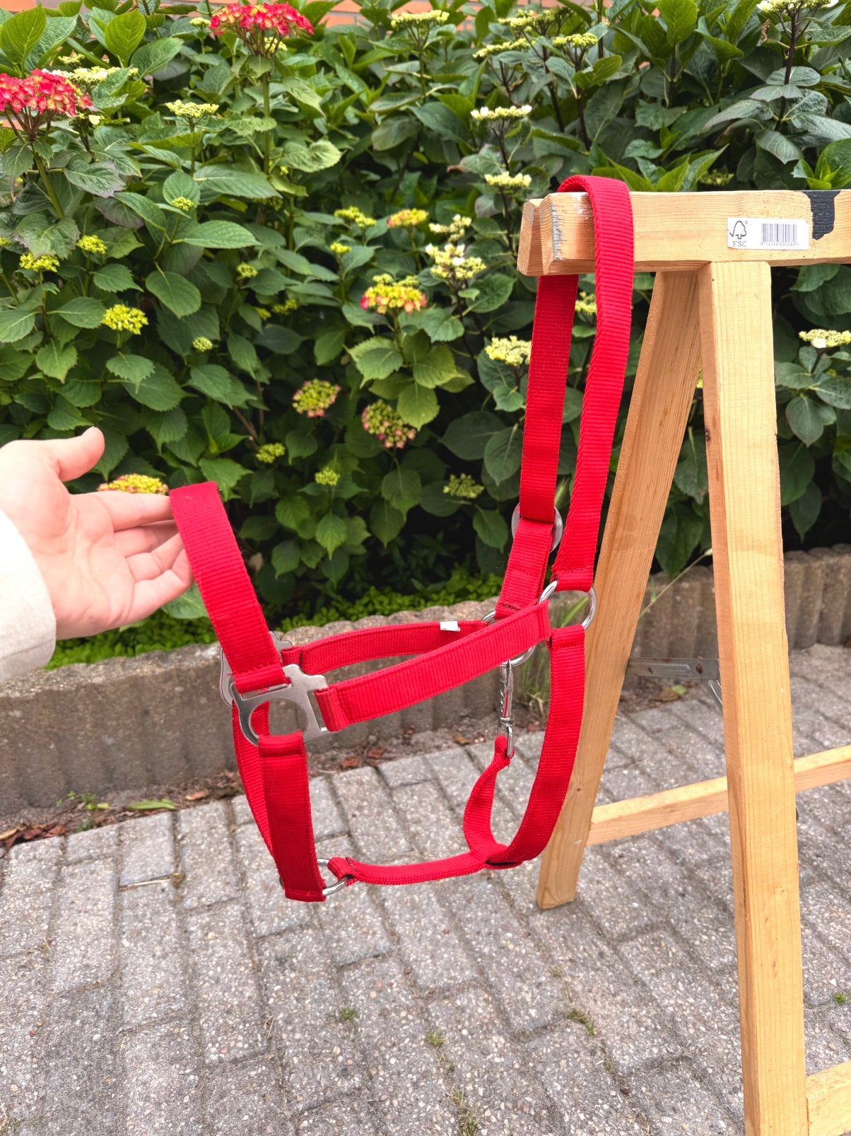 QHP Halster Rood | Maat Cob | Nieuw, Ophalen of Verzenden, Nieuw, Recreatie