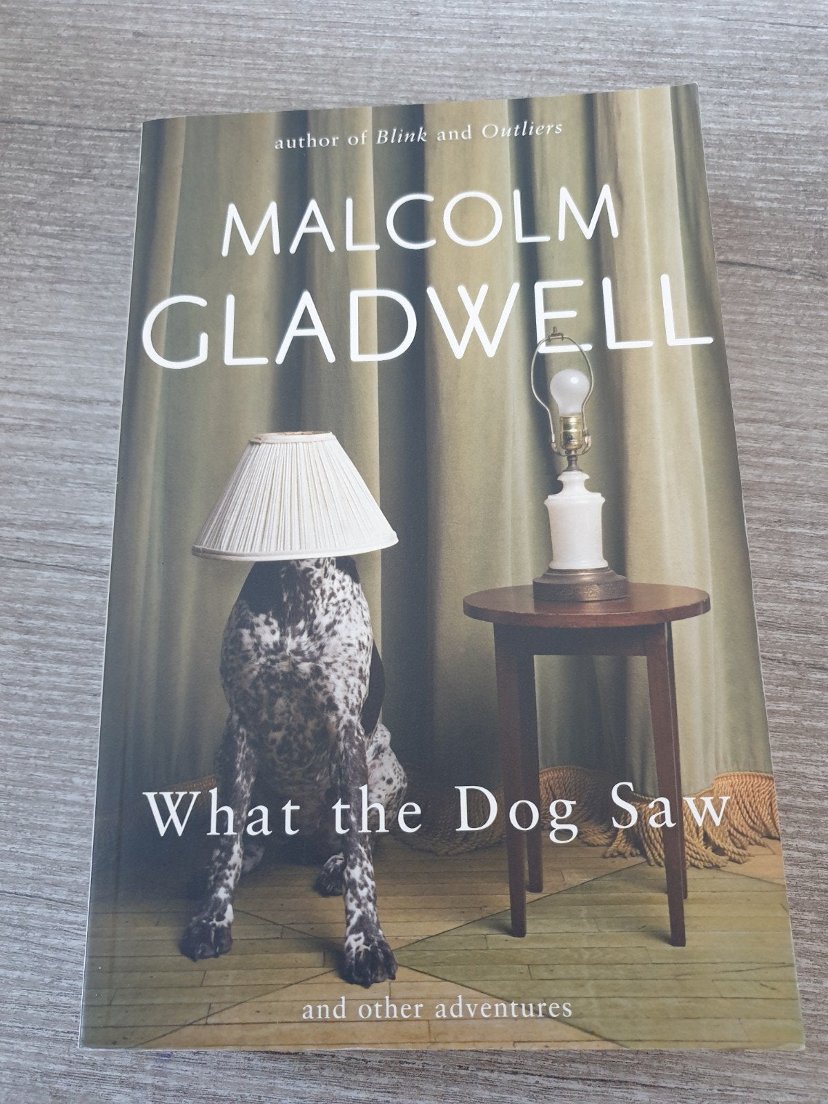 What the Dog Saw - Malcolm Gladwell, Ophalen of Verzenden, Gelezen, Malcolm Gladwell