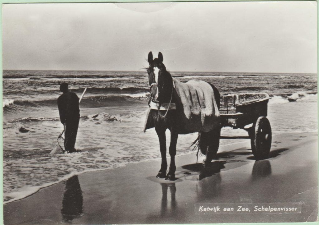 Katwijk aan Zee (ZH) Schelpenvisser 1966. paard en wagen, Ophalen, 1960 tot 1980, Gelopen, Zuid-Holland