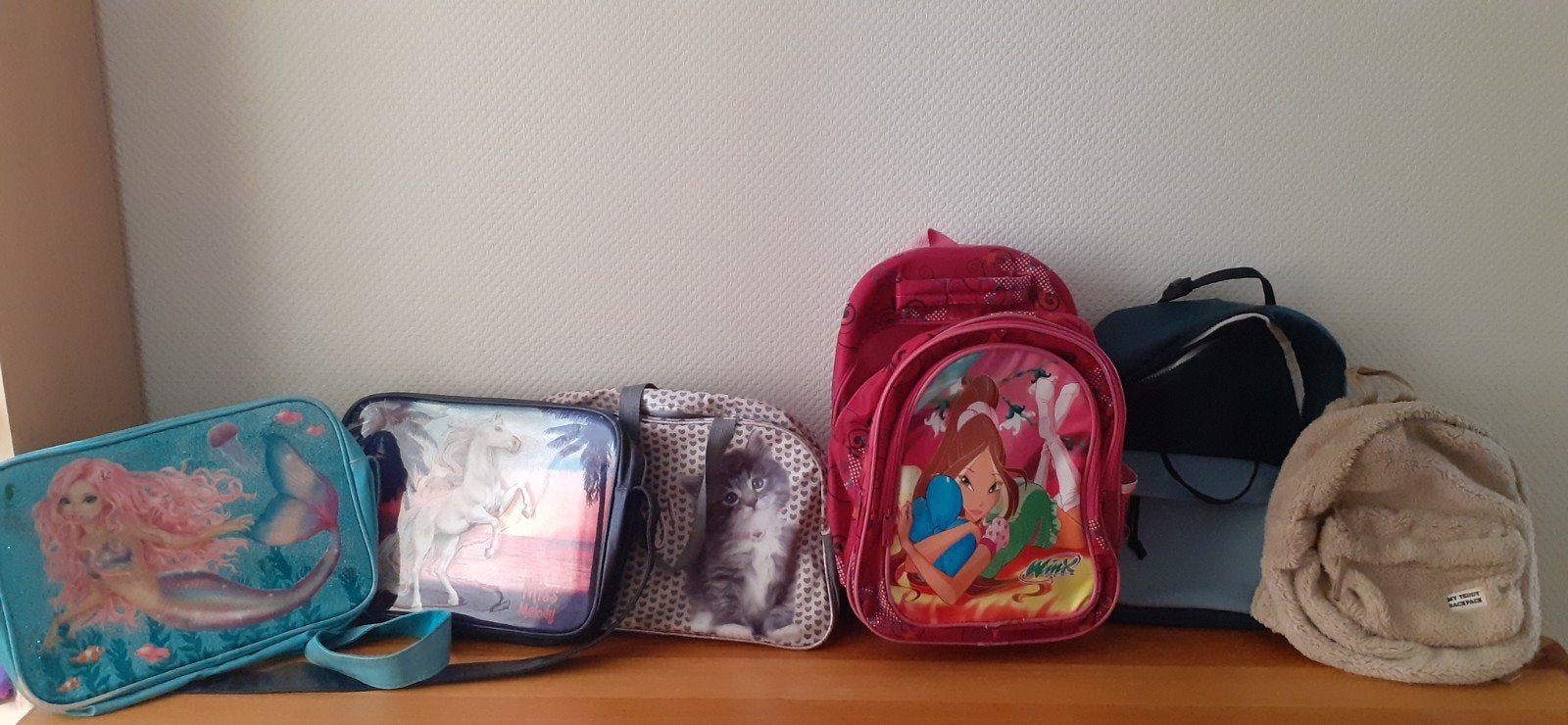 Diverse kinderrugzakken en tasjes - Gebruikt, Ophalen, Gebruikt, Disney of Dora, 25 tot 40 cm