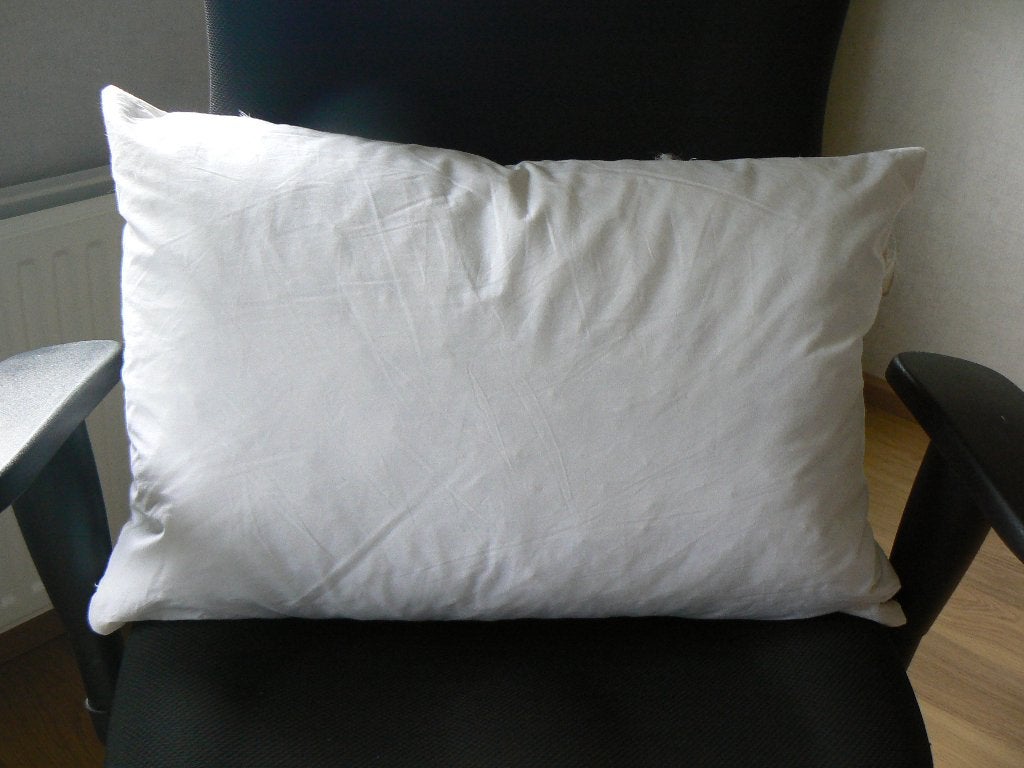 Binnenkussen 40x60 cm eendenveren zgan, Overige merken, Wit, Ophalen of Verzenden, Zo goed als nieuw