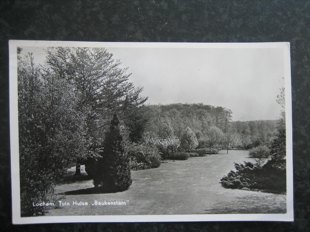 LOCHEM Tuin huize Beukenstein, Ophalen of Verzenden, 1940 tot 1960, Gelderland