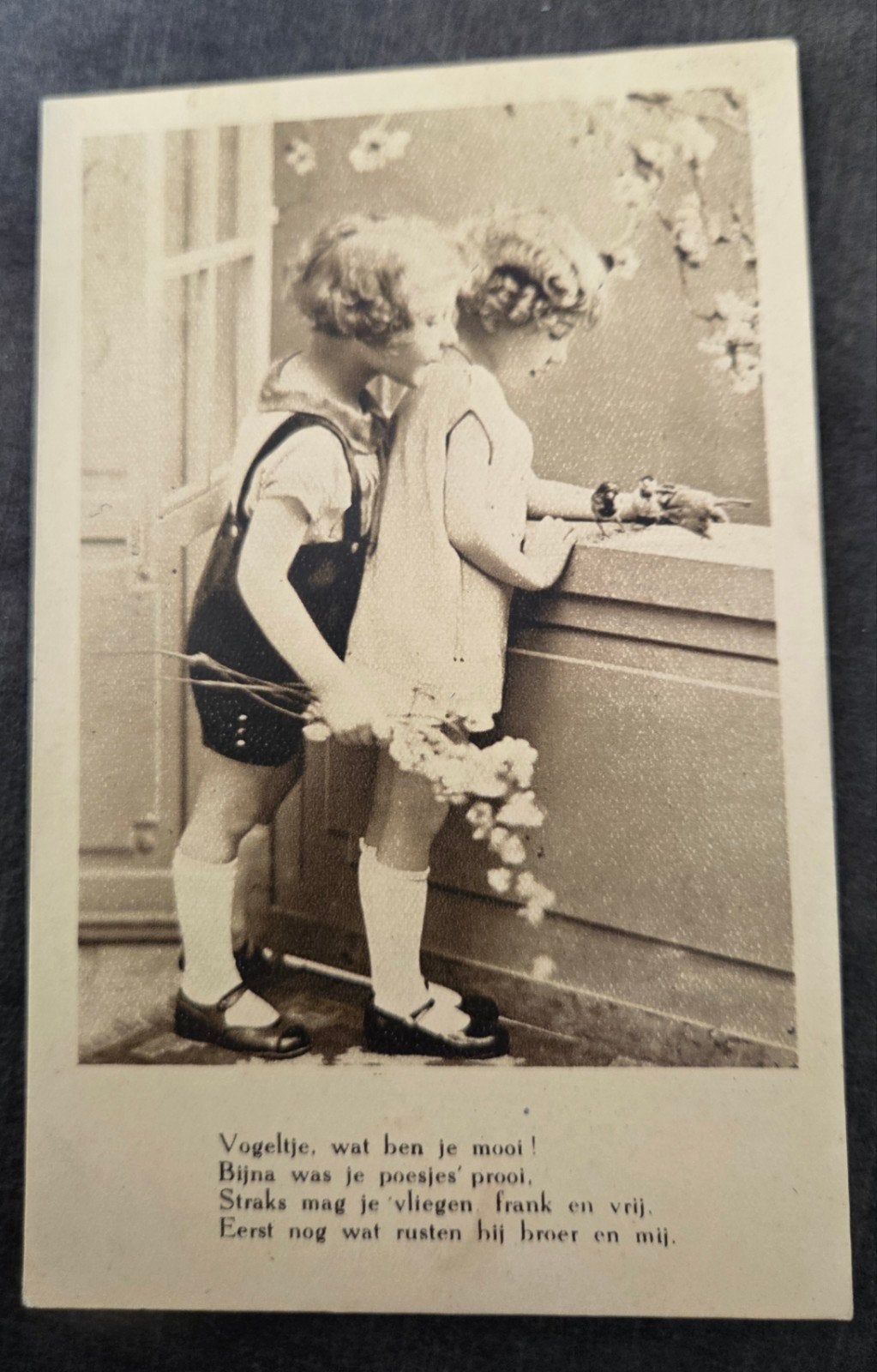 Twee kinderen met vogeltje, Ophalen of Verzenden, Voor 1920, Gelopen, Kinderen