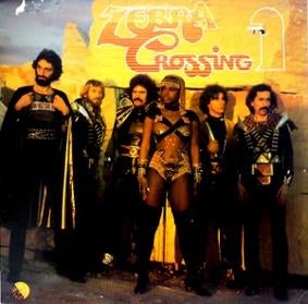 Zeldz POP/ ROCk/Disco LP’s 70s (RARE 70‘s) Veelal N NM, Ophalen, Zo goed als nieuw, 12 inch
