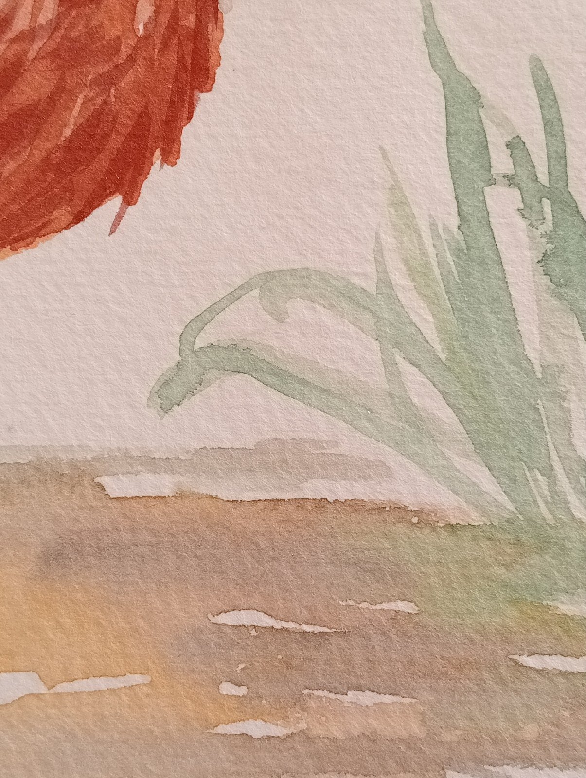 Haan aquarel Kunstcriticus Frans Duister, Antiek en Kunst, Ophalen of Verzenden