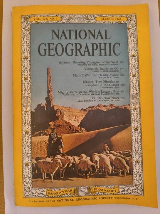 National Geographic losse nummers (jaren '60, '70, '80, '90), Ophalen of Verzenden, Gelezen