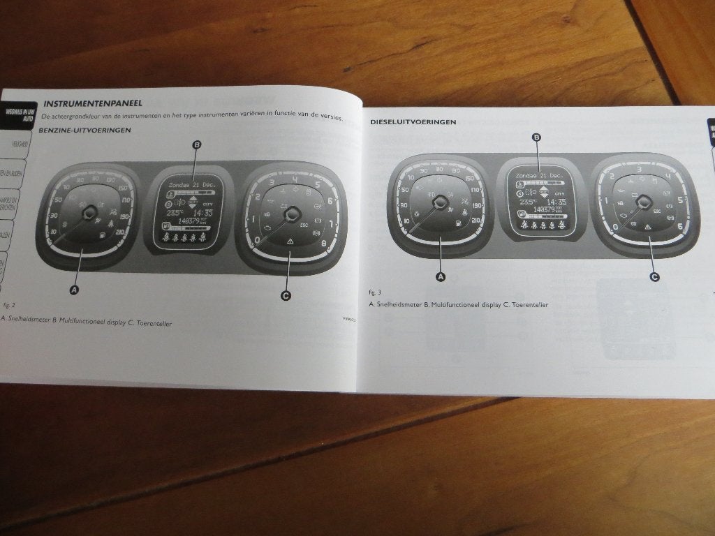 Instructieboek Fiat Panda , Panda 4x4, Panda Dualogic 2014, Ophalen of Verzenden