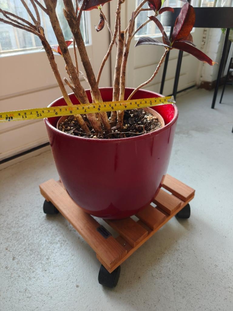 Rode keramische bloempot met houten plantentrolley, Rond, Ophalen of Verzenden, Aardewerk, Minder dan 40 cm