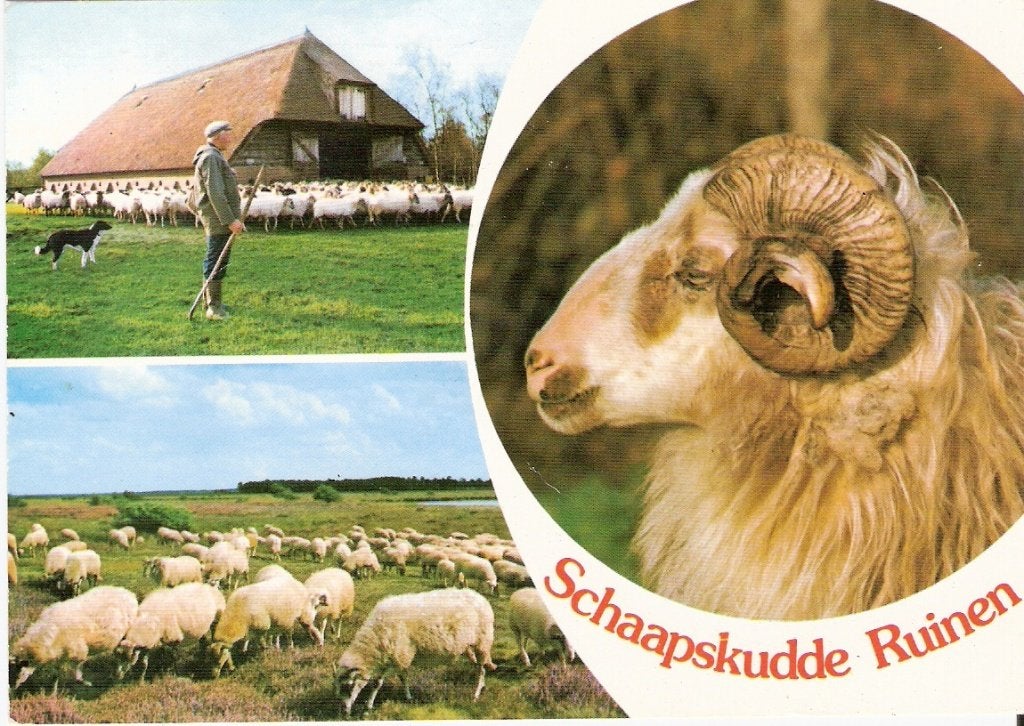 Ruinen          267a, Ophalen of Verzenden, Voor 1920