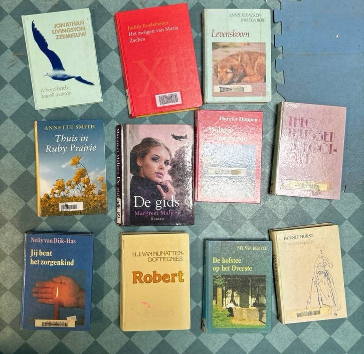 Grote collectie letterboeken - 11 stuks, Ophalen of Verzenden, Gelezen, Nederland