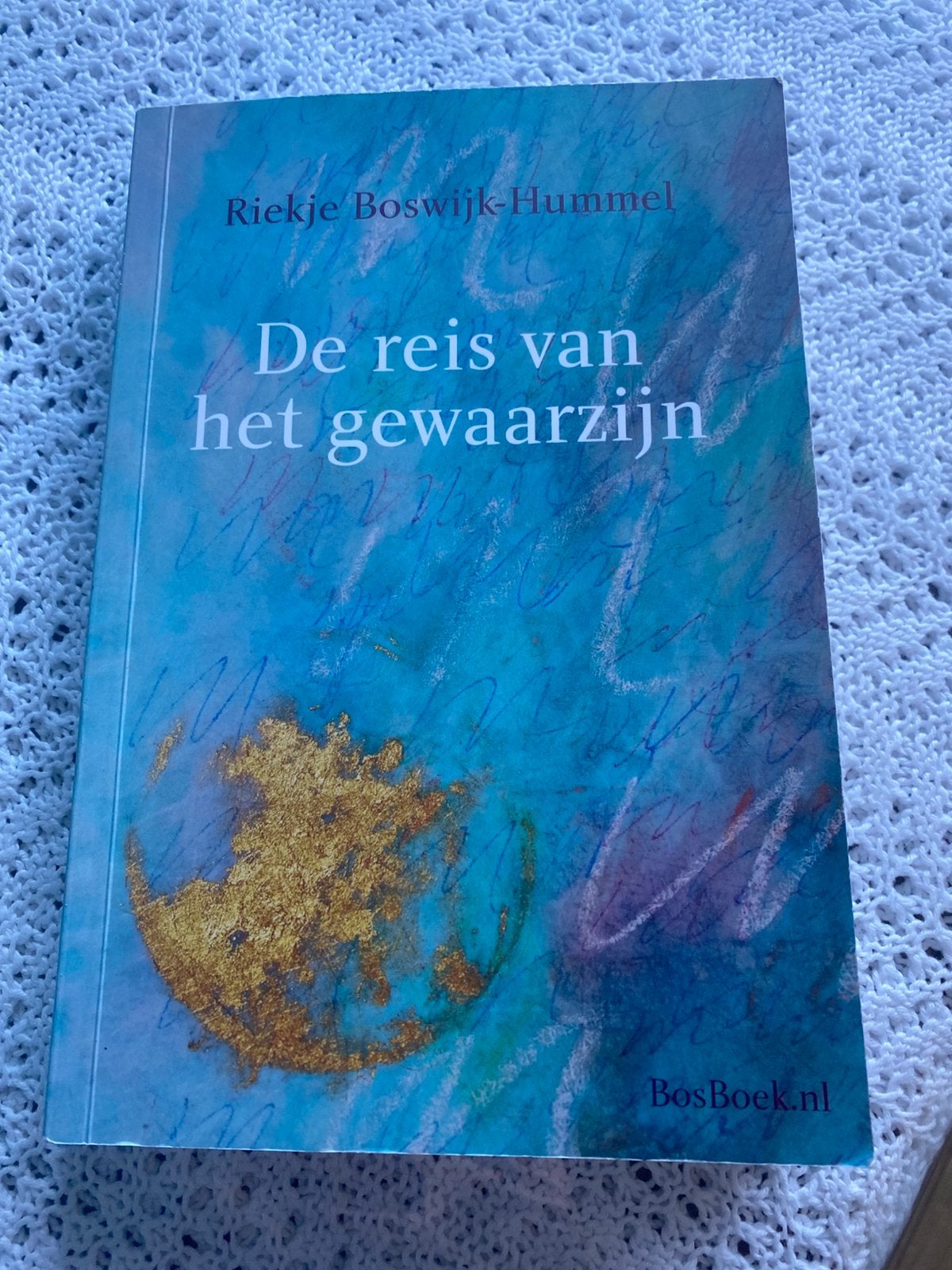 De reis van het gewaarzijn - Riekje Boswijk-Hummel, Ophalen of Verzenden, Gelezen, Ontwikkelingspsychologie