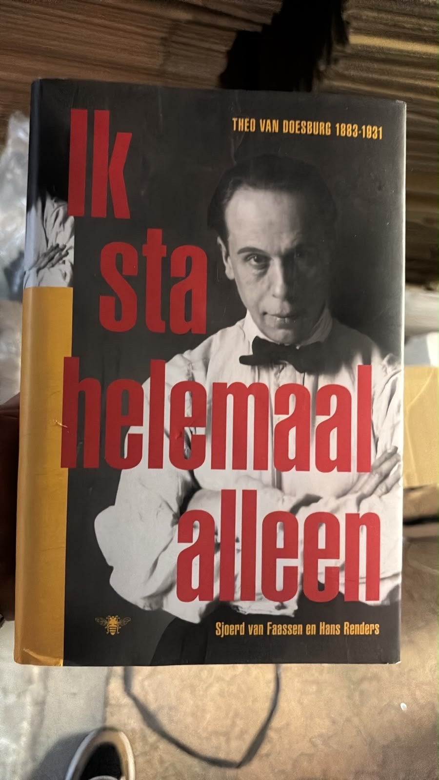 Ik sta helemaal alleen - Theo van Doesburg biografie, Ophalen of Verzenden, Gelezen
