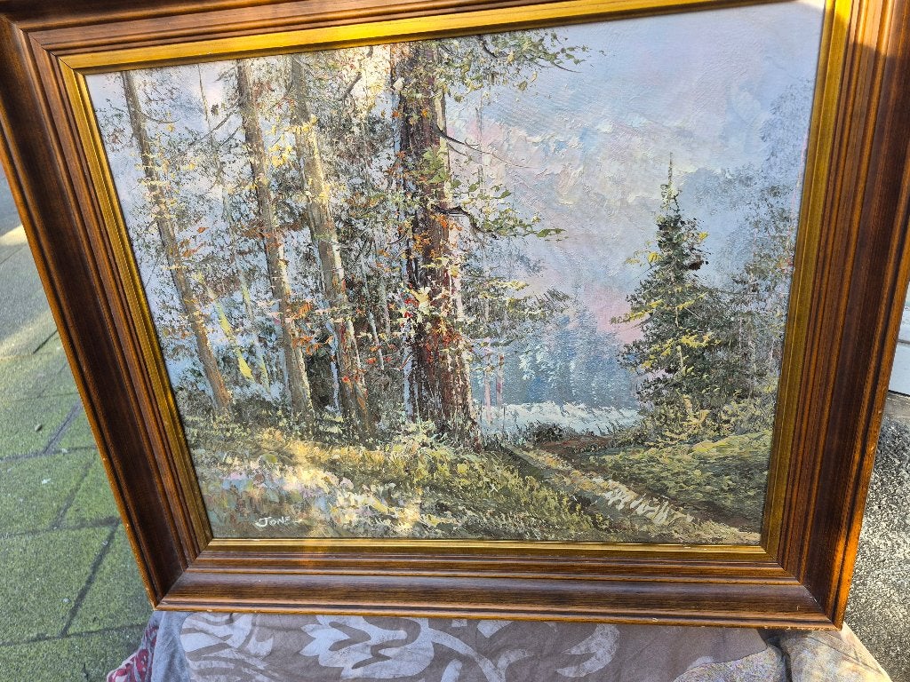 Olieverf schilderij, landscha bos van JonFS, TonFS?, Ophalen, Doek, Landschap, Olieverf