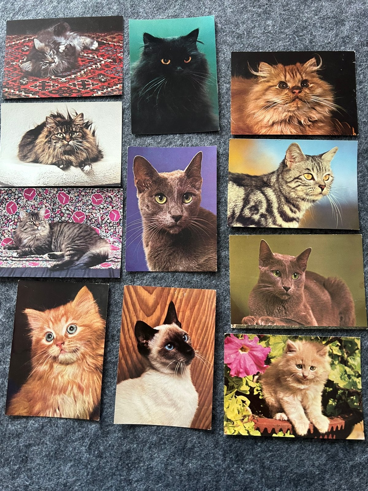 Retro ansichtkaarten met verschillend katten en katjes, Ophalen of Verzenden, Hond of Kat
