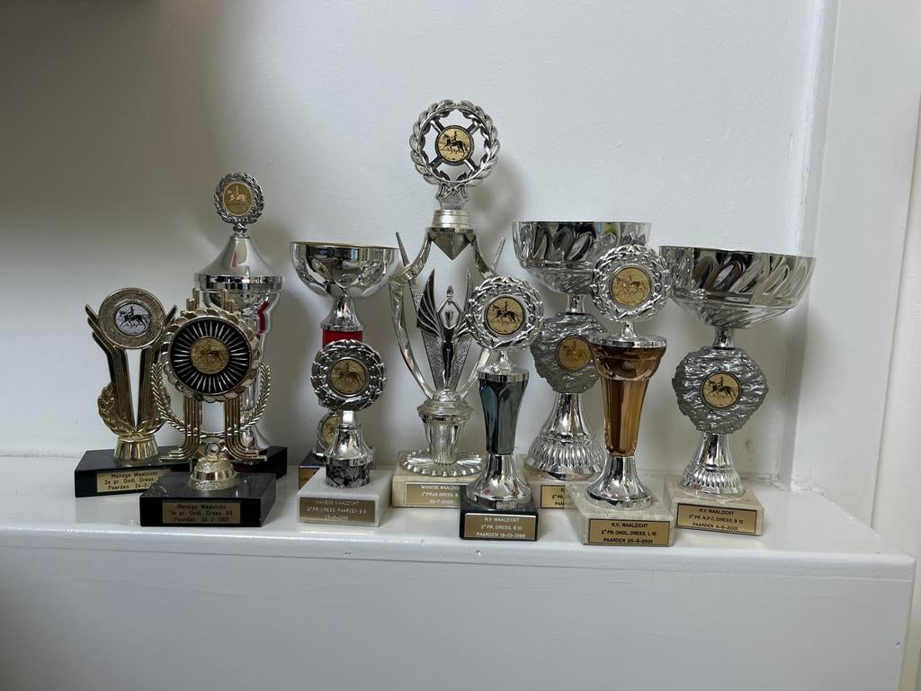 Sportbekers sportprijzen paarden dressuur, Sport en Fitness, Overige Sport en Fitness, Gebruikt, Ophalen of Verzenden