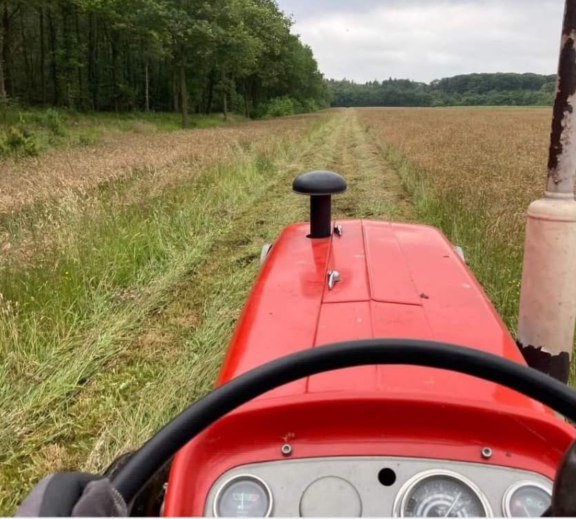 Natuurhooi, onbemest kleine pakjes., Dieren en Toebehoren, Ophalen, Vee