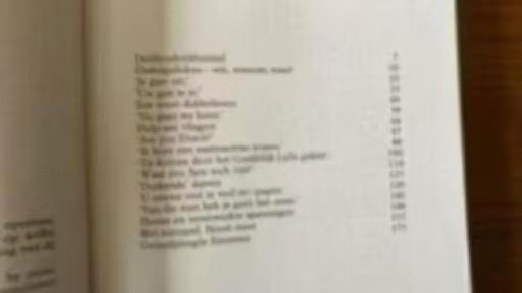 Ondergedoken. Almar Theorema en Jaap walvis ( oorlog), Ophalen of Verzenden, Tweede Wereldoorlog, Gelezen