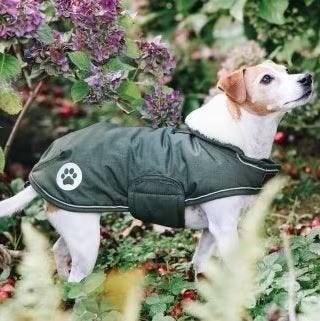 Kentucky hondendeken Waterproof Olive Green 46 cm, Kentucky Dogwear, Ophalen of Verzenden, Zo goed als nieuw, Hondenjas