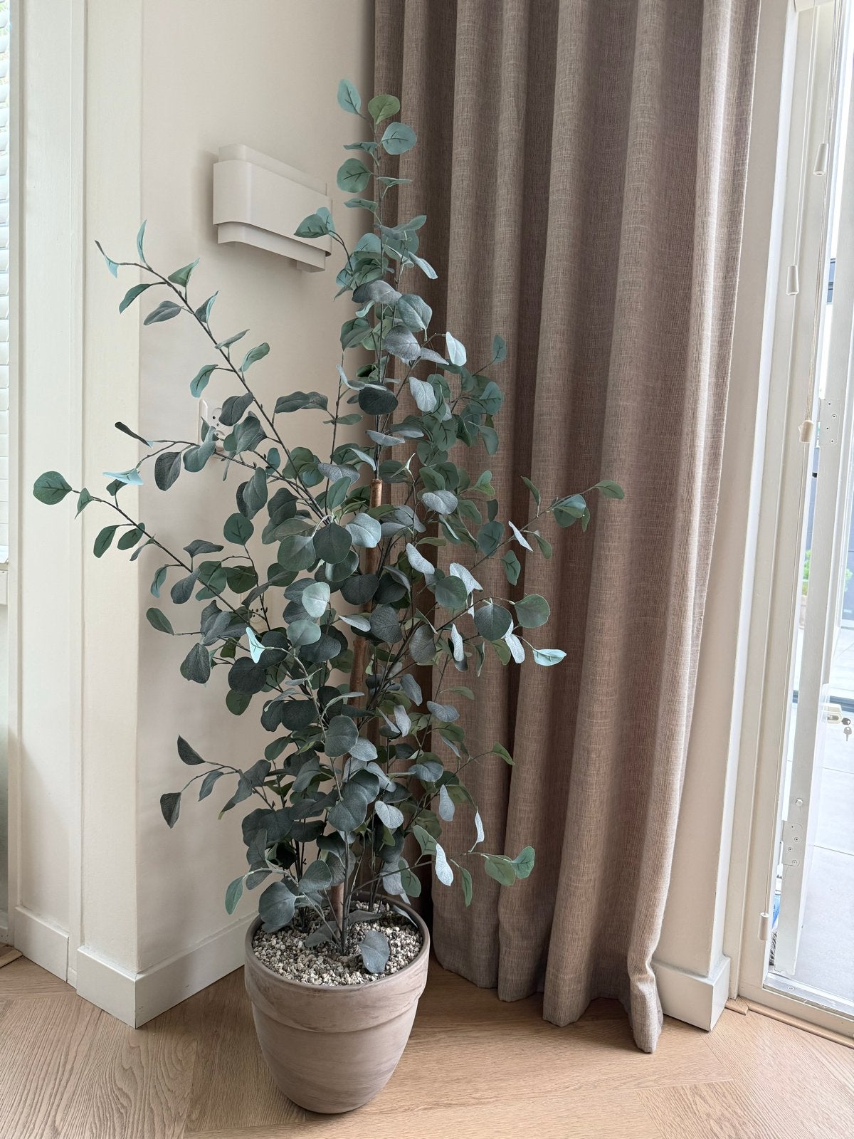 Grote kunst Eucalyptus plant in pot - 180 cm, Huis en Inrichting, Volledige schaduw, Overige soorten, Ophalen of Verzenden, In pot