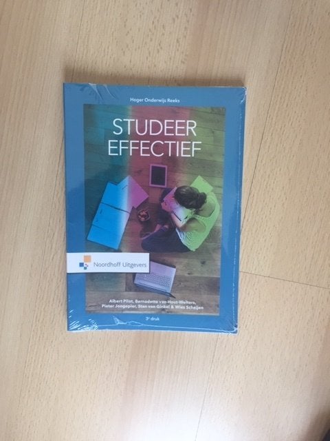Studeer Effectief 3e druk Noordhoff, Boeken, Diverse auteurs, Zo goed als nieuw, Alpha, HBO