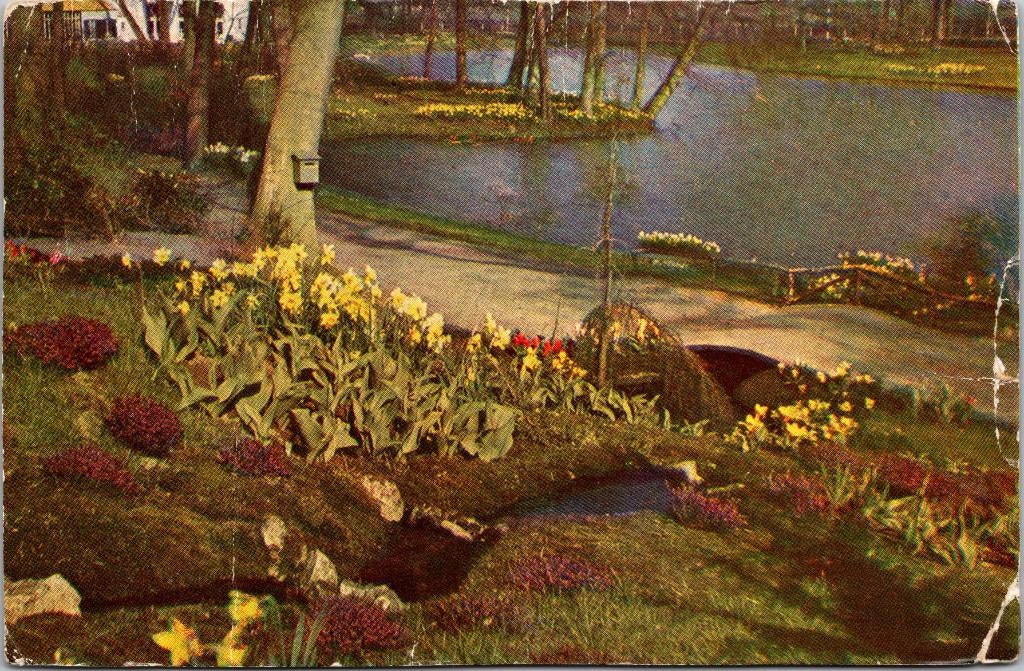 Lisse - Keukenhof (1951), Verzenden, 1940 tot 1960, Gelopen, Zuid-Holland