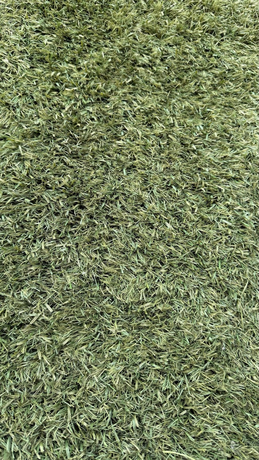 Gebruikt hoogpolig kunstgras 750x183x5 cm - Zeer zacht, Tuin en Terras, Gras en Kunstgras, Ophalen, Gebruikt, 10 tot 20 m², Kunstgras
