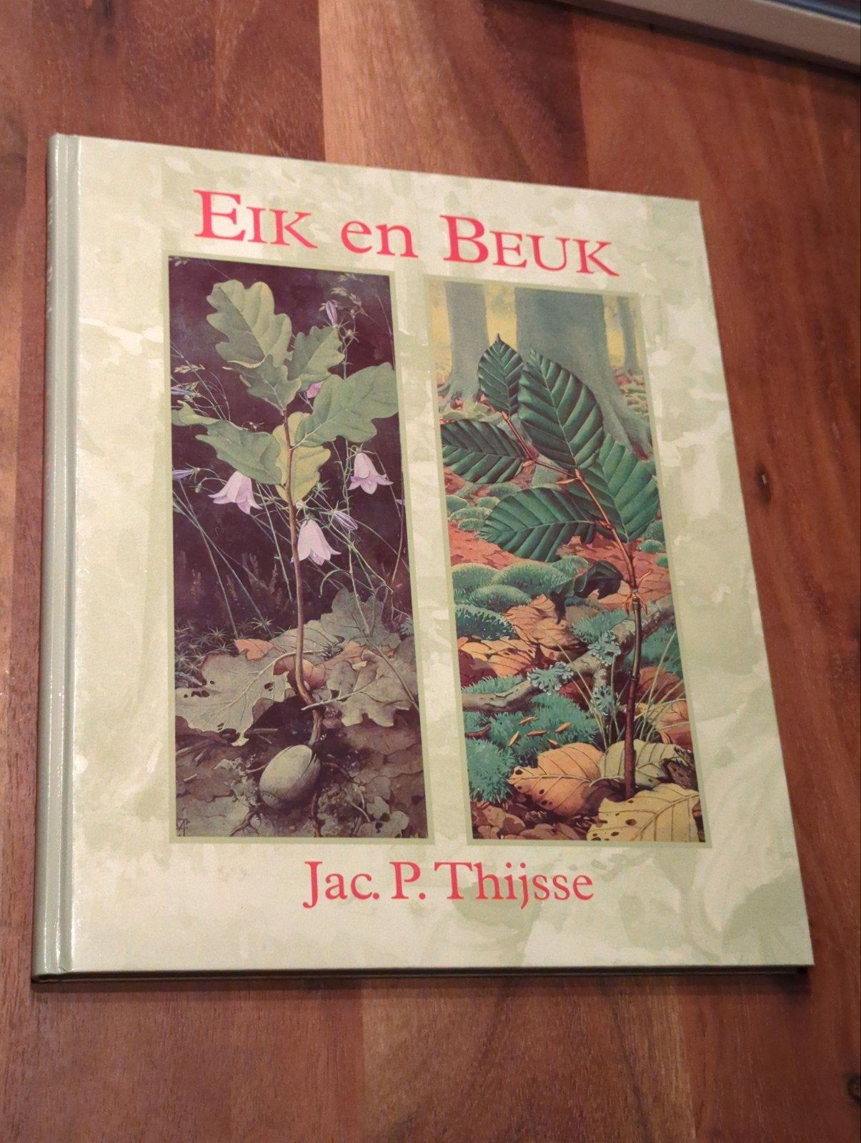 Eik en Beuk - Jac. P. Thijsse (Vogelboek), Boeken, Ophalen of Verzenden, Zo goed als nieuw, Bloemen, Planten en Bomen, Jac. P. Thijsse