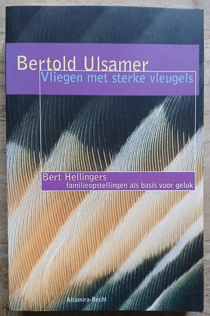 Bertold Ulsamer, Vliegen met sterke vleugels, Ophalen of Verzenden, Gelezen