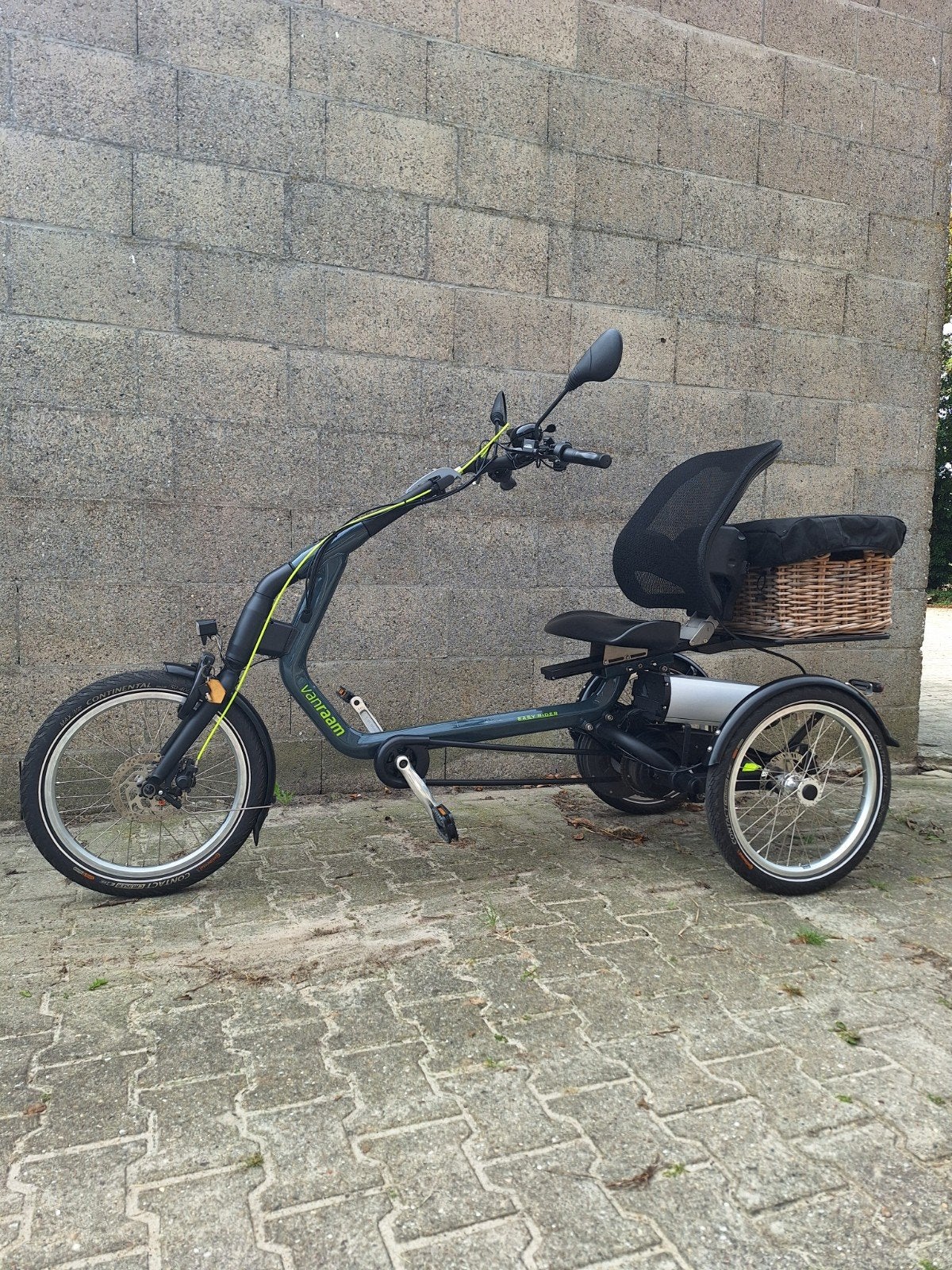 van Raam Easy Rider e-bike, Ophalen, Zo goed als nieuw, Overige merken