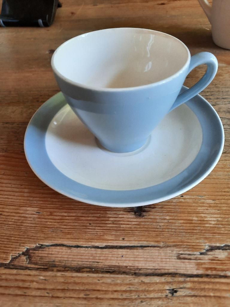 Pastel Petrus Regout kop en schotels, Antiek en Kunst, Antiek | Servies los, Ophalen of Verzenden