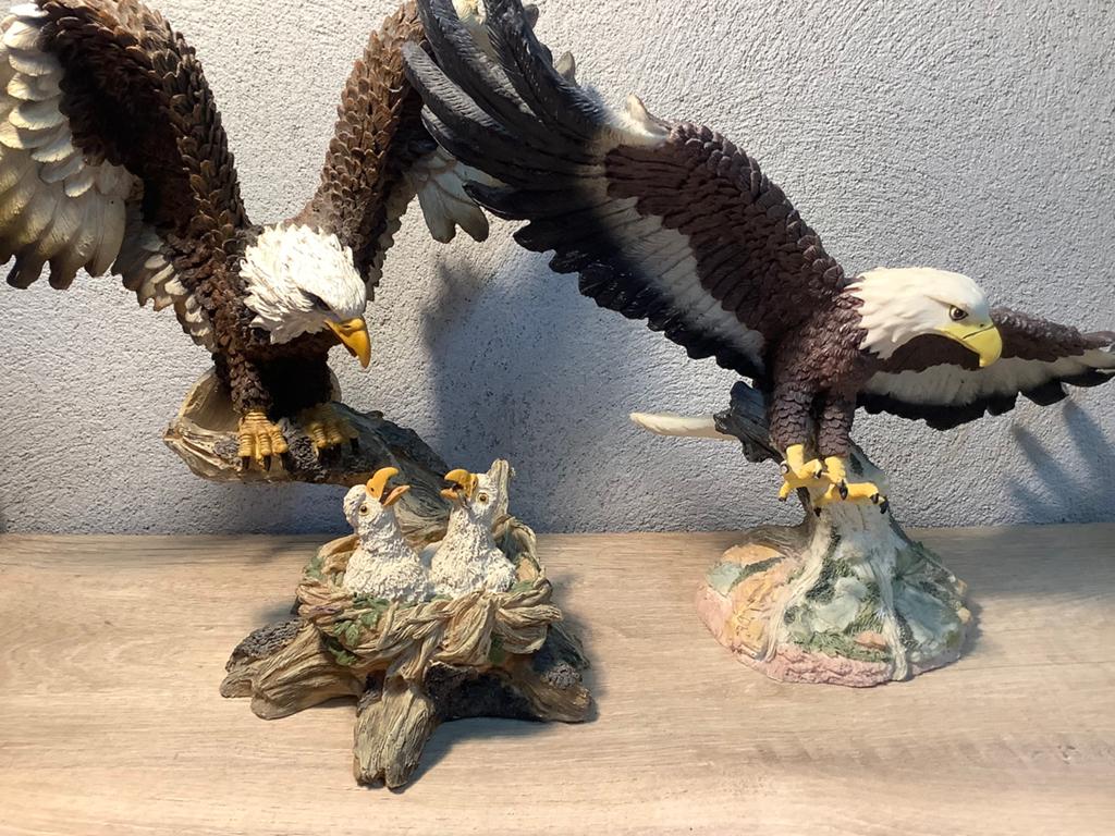 Adelaar op nest met jongen en vliegende adelaar beeld, Ophalen of Verzenden, Gebruikt, Dier