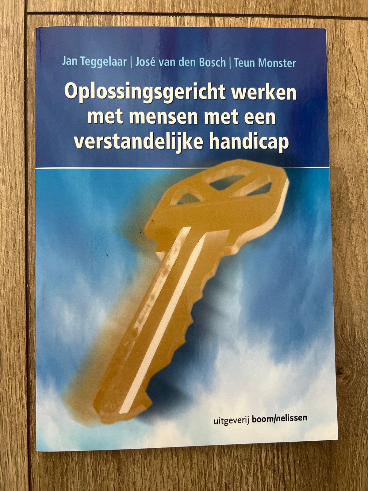 Oplossingsgericht werken met mensen met verstandelijke handi, Ophalen of Verzenden, Gamma, Zo goed als nieuw, HBO