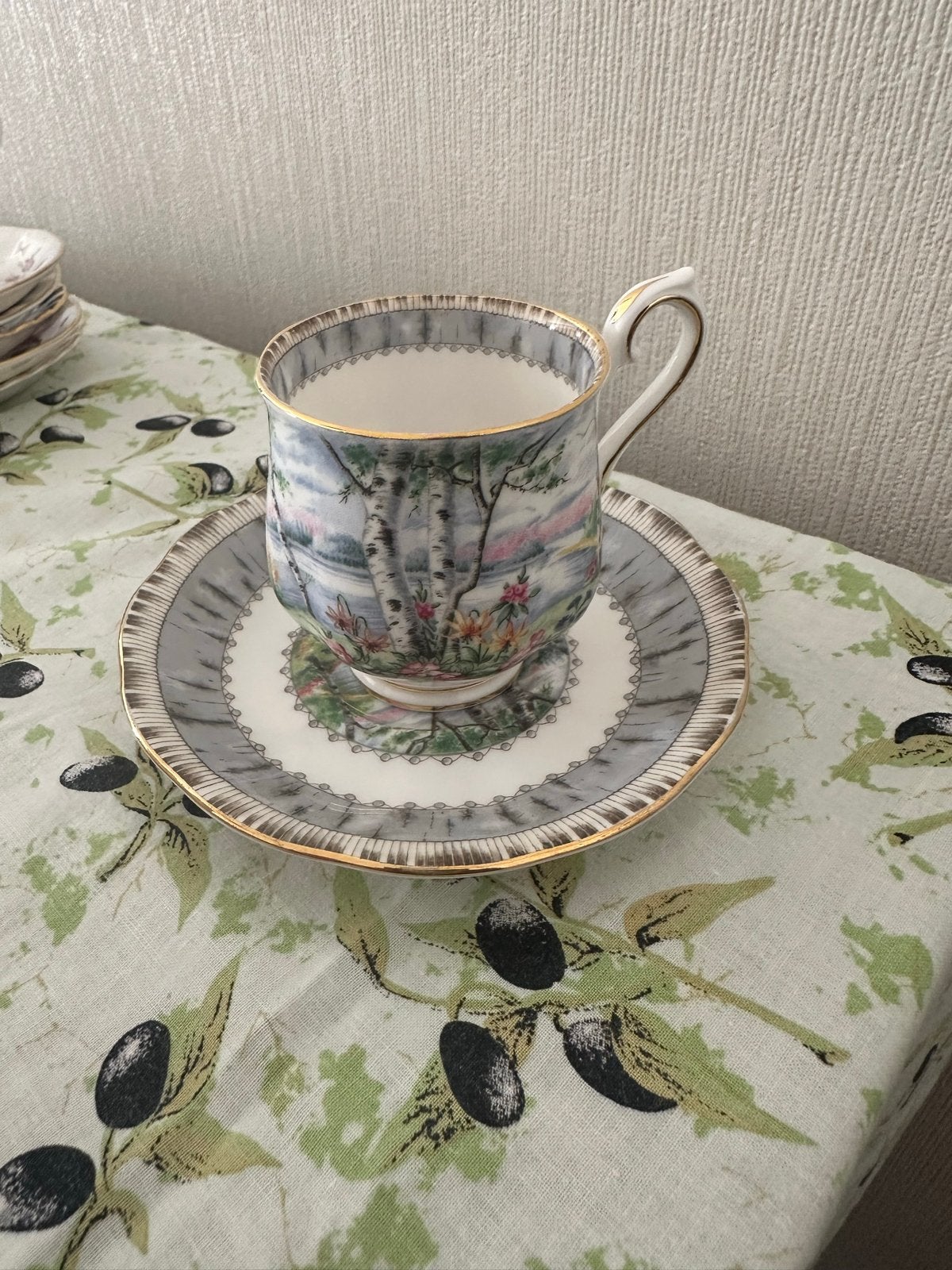 Royal Albert 'Silver Birch' Kop en Schotel - Fine Bone China, Ophalen