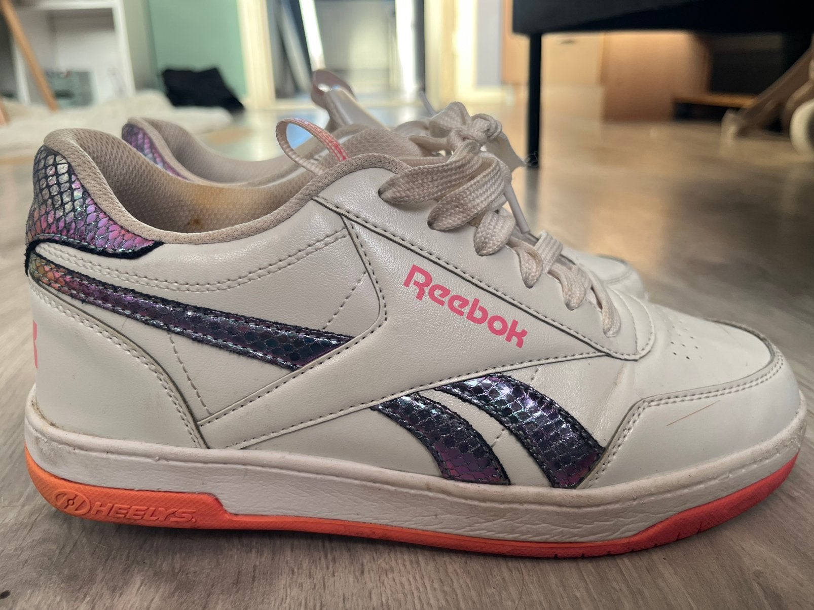 Reebok hylees, Ophalen, Overige typen, Overige sporten, Reebok