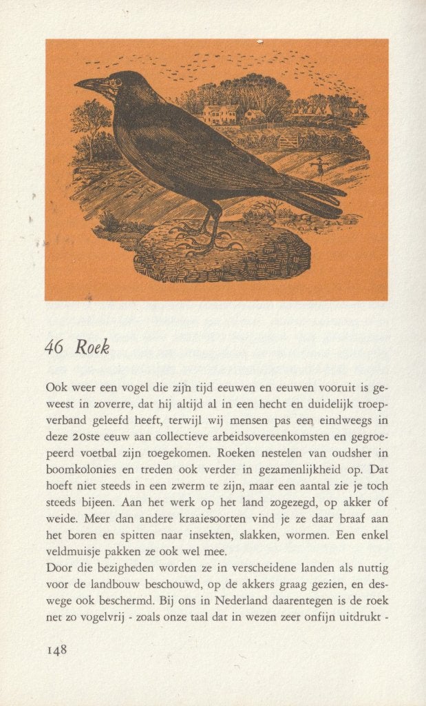 ZONDAGSVOGEL - Bert Garthof, Ophalen of Verzenden, Zo goed als nieuw, Vogels
