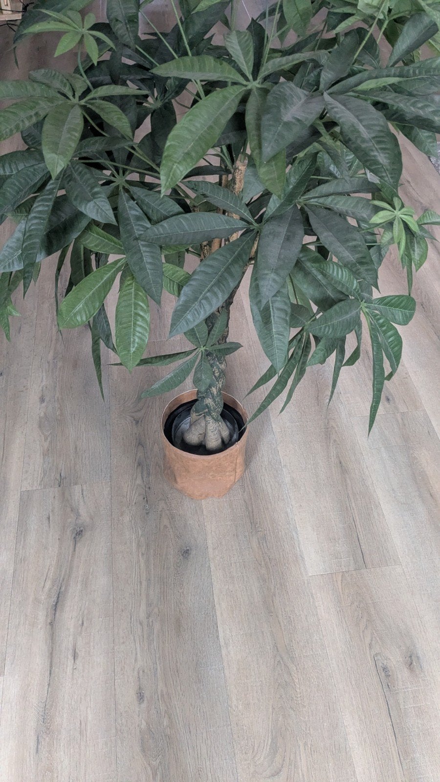 Grote nep boom / kunstplant Pachira Aquatica- Gel gratis pot, Ophalen