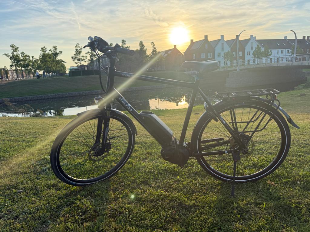 Pegasus Strong E10 elektrische fiets - Bosch Performance, Overige merken, Gebruikt, Ophalen of Verzenden, 59 cm of meer