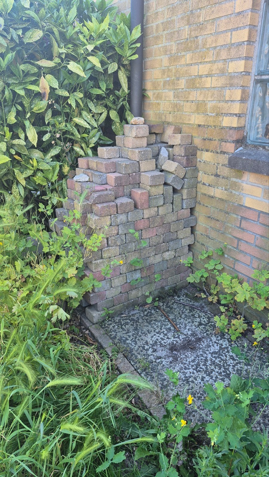 Gratis af te halen, keitjes voor in de tuin, Doe-het-zelf en Verbouw, Metselstenen, Ophalen, Bakstenen