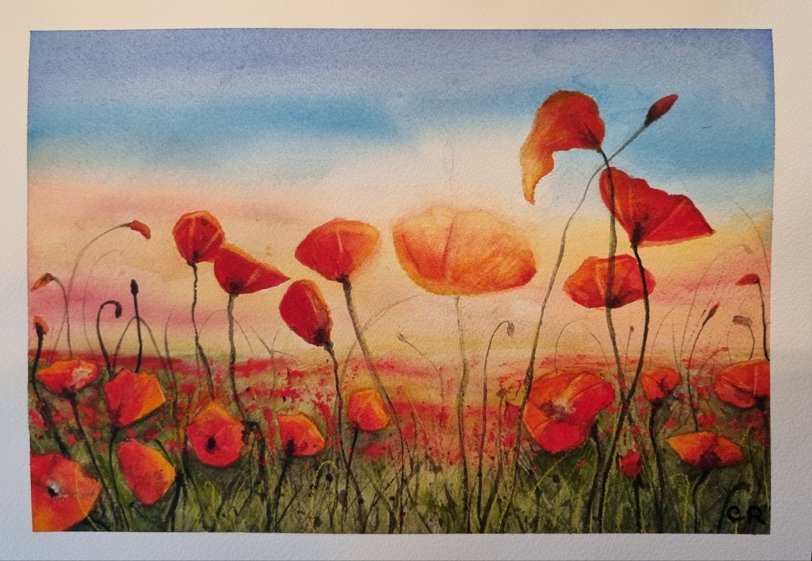 Aquarel Veld met Klaprozen, Ophalen of Verzenden