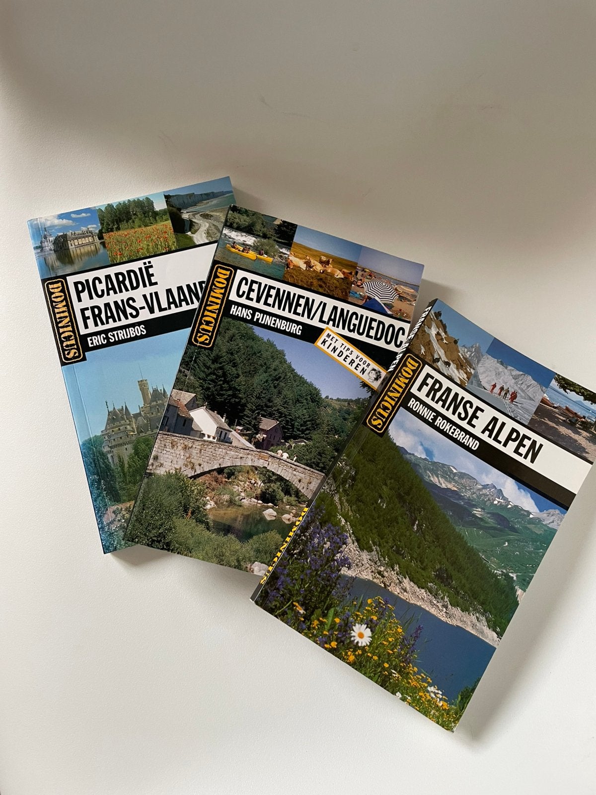 Dominicus reisgidsen Frankrijk Picardië Cevennen Alpen Vlaan, Europa, Ophalen of Verzenden, Reisgids of -boek, Gelezen