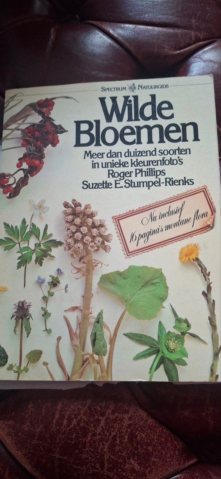 Spectrum Natuurgids Wilde Bloemen - Meer dan duizend soorten, Ophalen of Verzenden, Gelezen, Bloemen, Planten en Bomen, Roger Phillips, Suzette E. Stumpel-Rienks