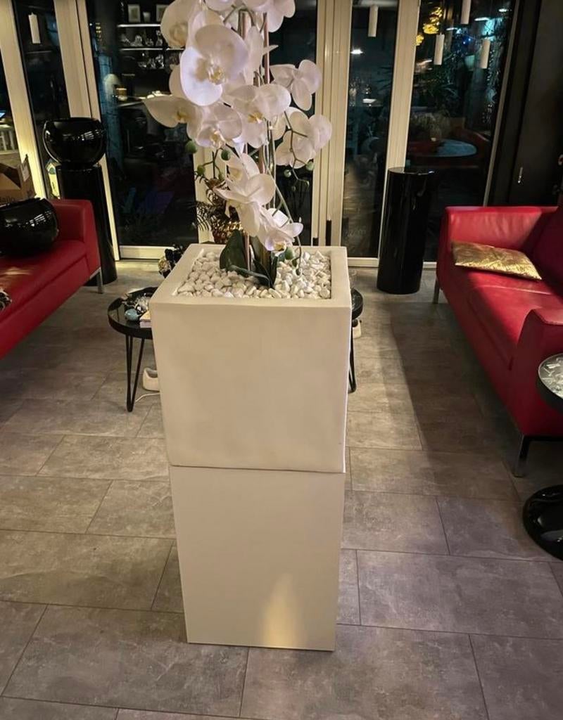 Witte plantenbak zuil - Stijlvol voor binnen, 25 tot 40 cm, Kunststof, Vierkant, Binnen