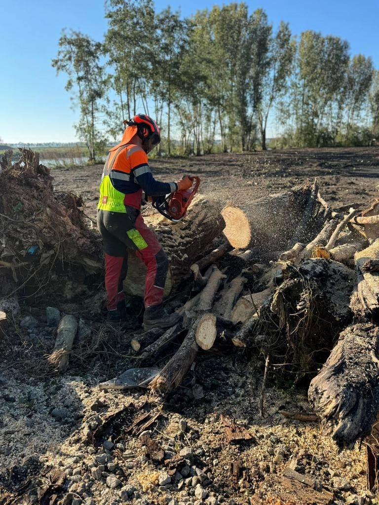 ,Moeilijke bomen snoeien/kappen dmv klimmen, Tuinonderhoud of Snoeiwerk