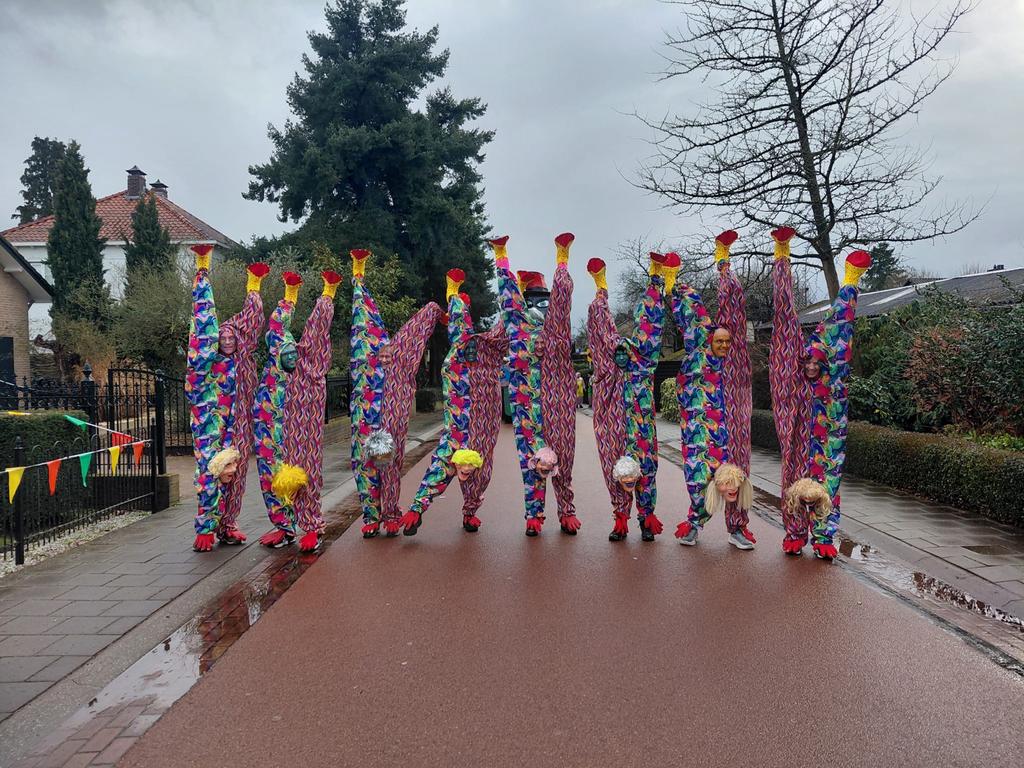 Carnavalskostuums - 8 pakken met accessoires, Ophalen, Gebruikt, Kostuum, Carnaval