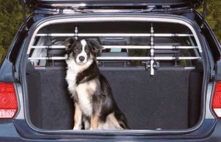 Hondenrek auto Trixie, Dieren en Toebehoren, Ophalen of Verzenden, Zo goed als nieuw