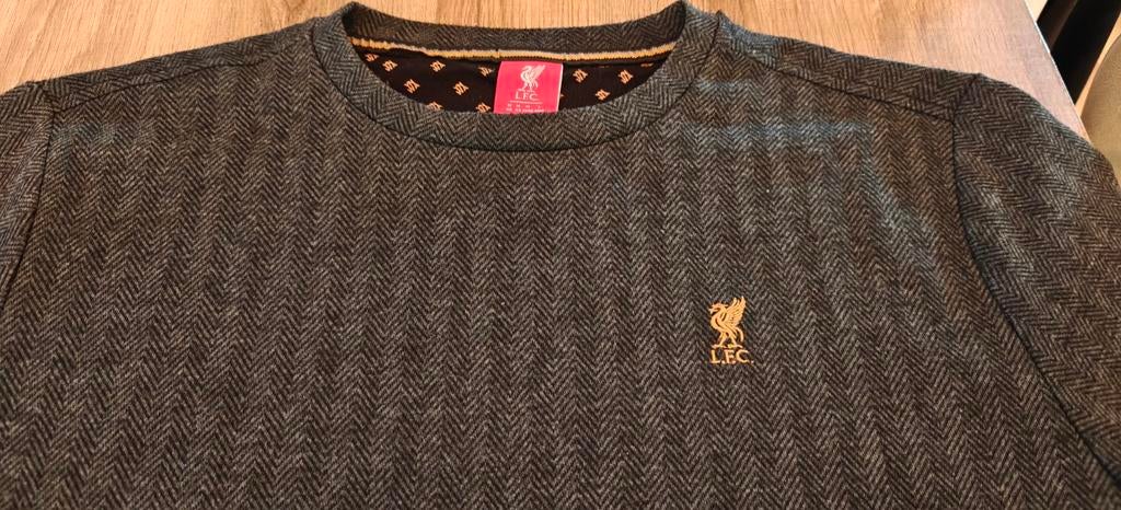 Liverpool FC T-shirt maat M, Ophalen of Verzenden, Zo goed als nieuw, Grijs