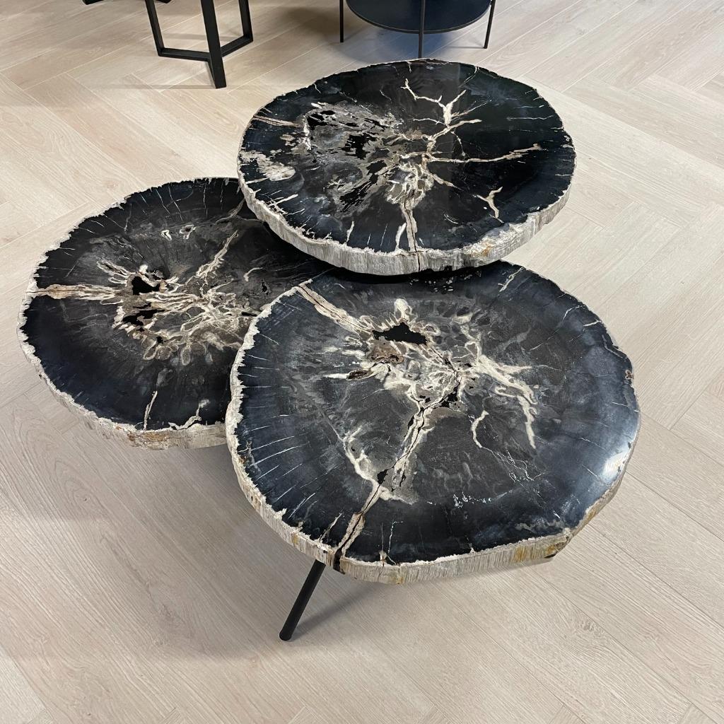 Versteend Hout Salontafels - Munker interiors, Ophalen, Nieuw, 50 tot 100 cm, Minder dan 50 cm