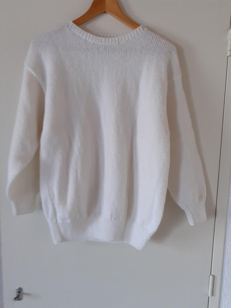Nieuw gebreide trui dames maat 38, Ophalen of Verzenden, Nieuw, Maat 38/40 (M)