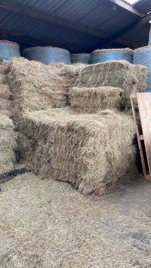 Frans weidehooi/paardenhooi laag in suikers, Dieren en Toebehoren, Dierenvoeding, Ophalen of Verzenden, Vee